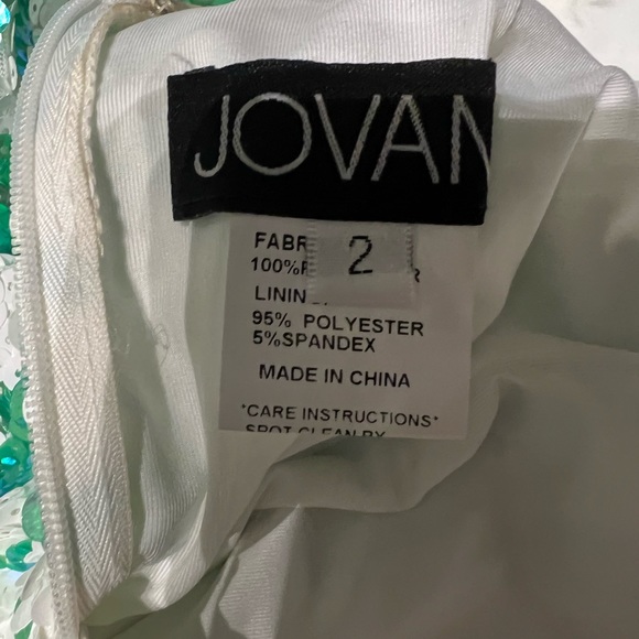 Jovani - 08257 Sleeveless Floral Sequin Long Gown size 2 - Picture 9 of 11